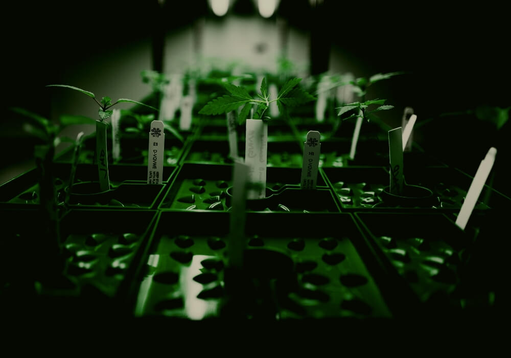 When the lights go out