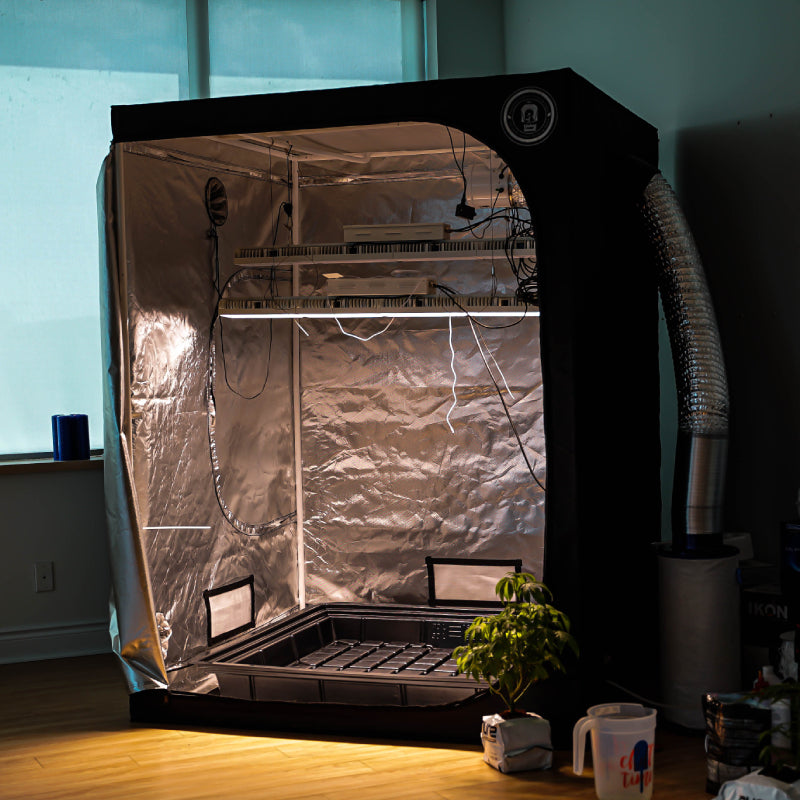 Grow tent your home in a home for plants