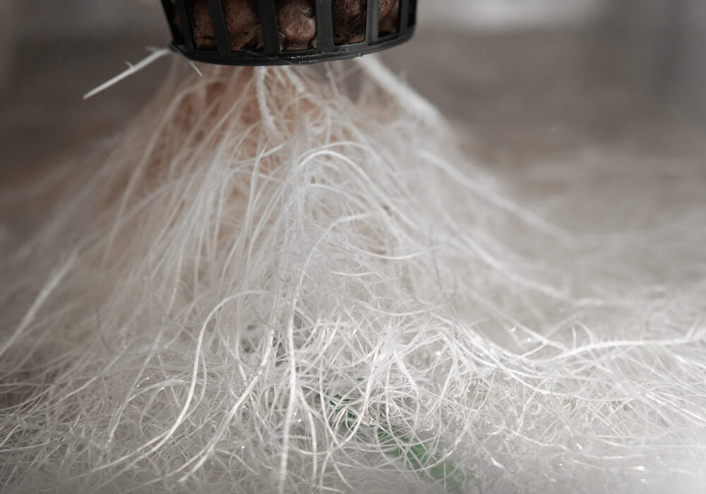 How to Use Root Stimulators