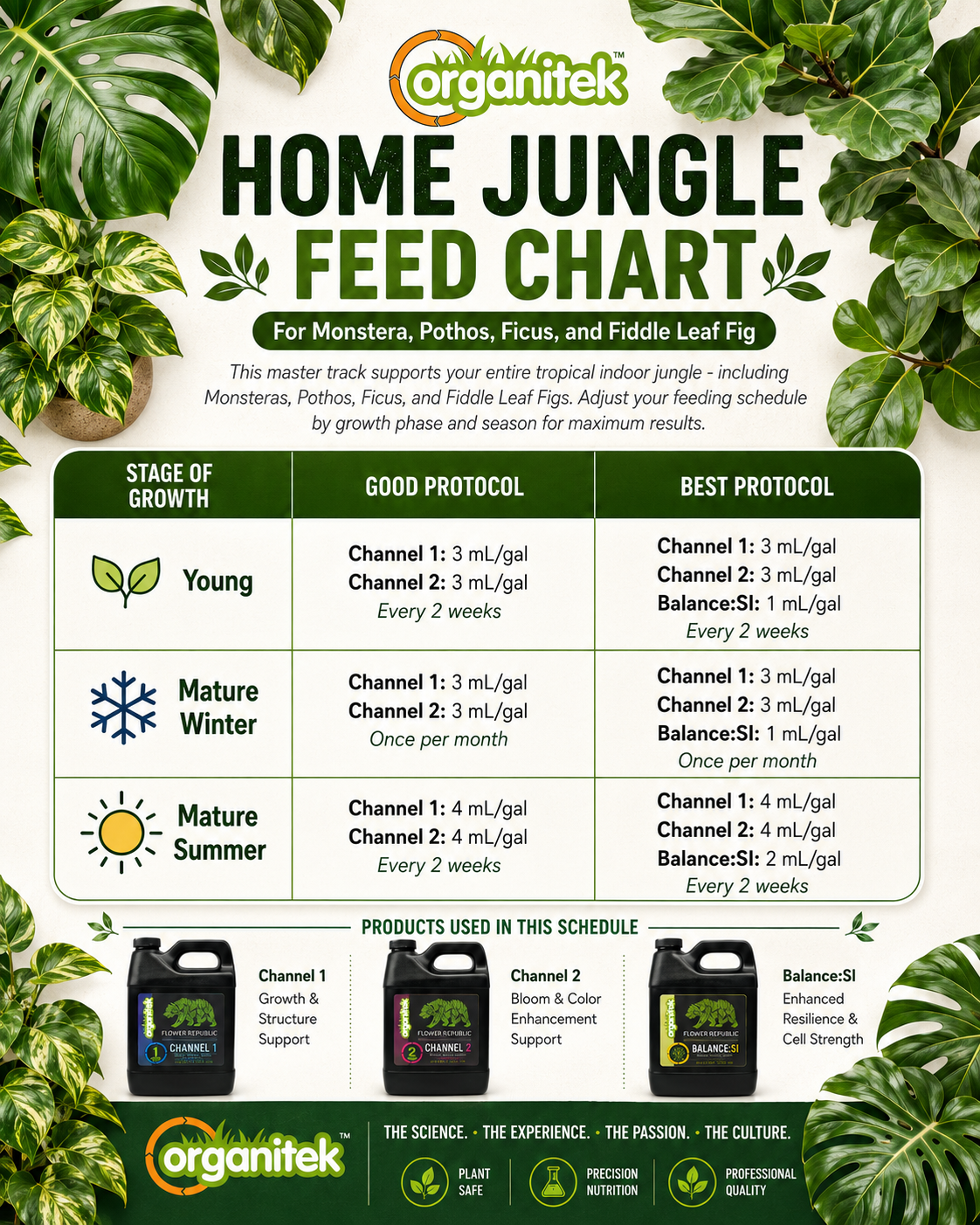 Feed Chart 6