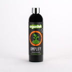Amplify