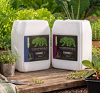 Two large white plastic buckets of Flower Republic plant food labeled Channel 1 and Channel 2, placed on a wooden surface outdoors among green plants and small potted herbs.