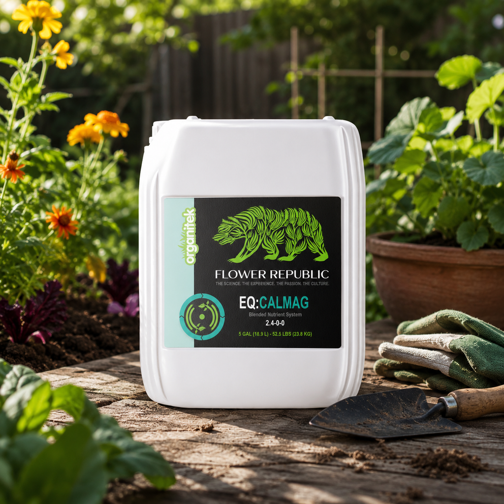 Flower Republic EQ in a 5 gallon container sitting in a garden 