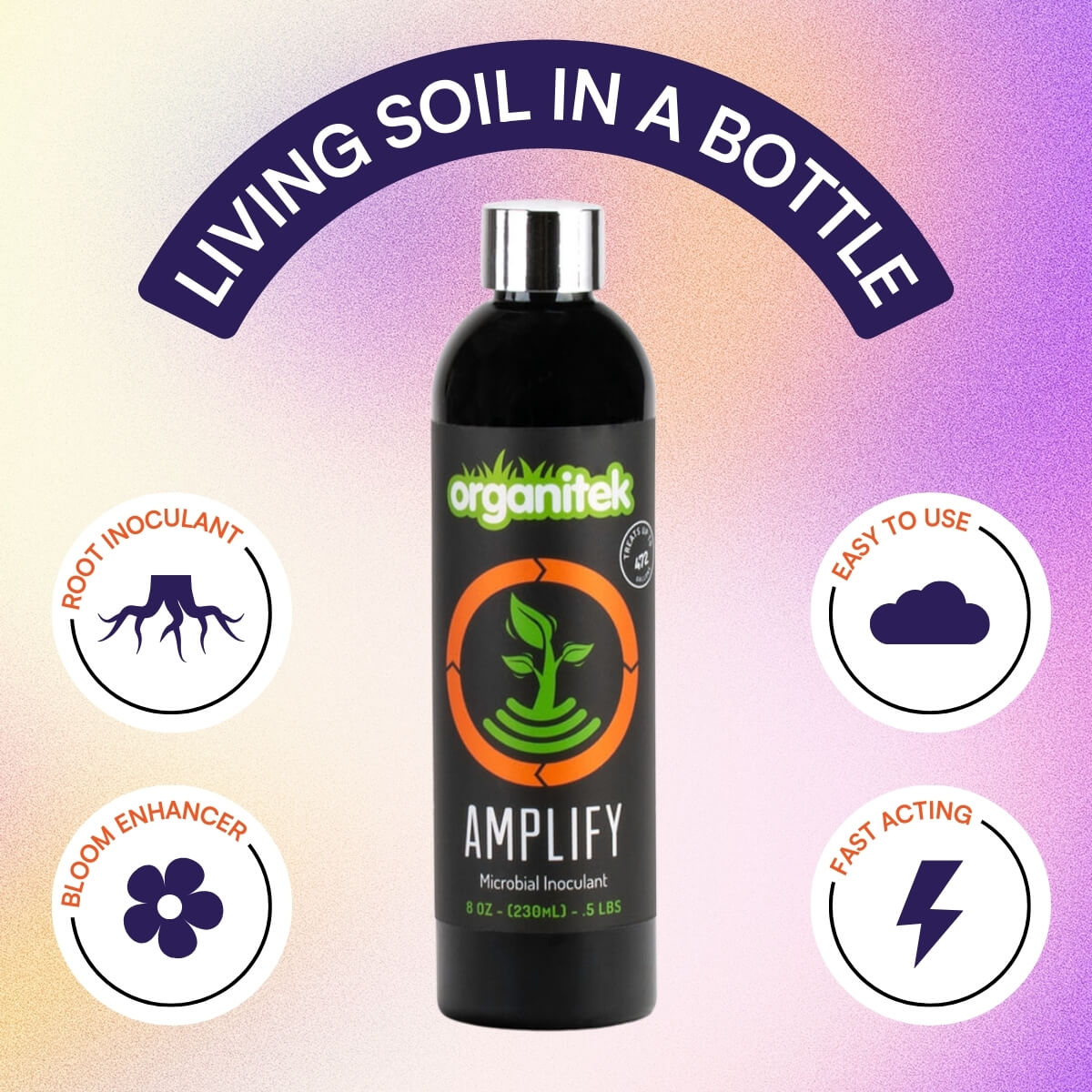 Amplify