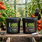 Two black plastic buckets of Flower Republic Plant Food, labeled Channel 1 and Channel 2, displayed on a wooden table inside a greenhouse surrounded by tomato and eggplant plants.