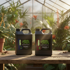 Two black plastic jugs of Flower Republic Channel 1 and Channel 2, displayed on a wooden table inside a sunlit greenhouse surrounded by lush plants.