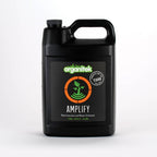 Amplify