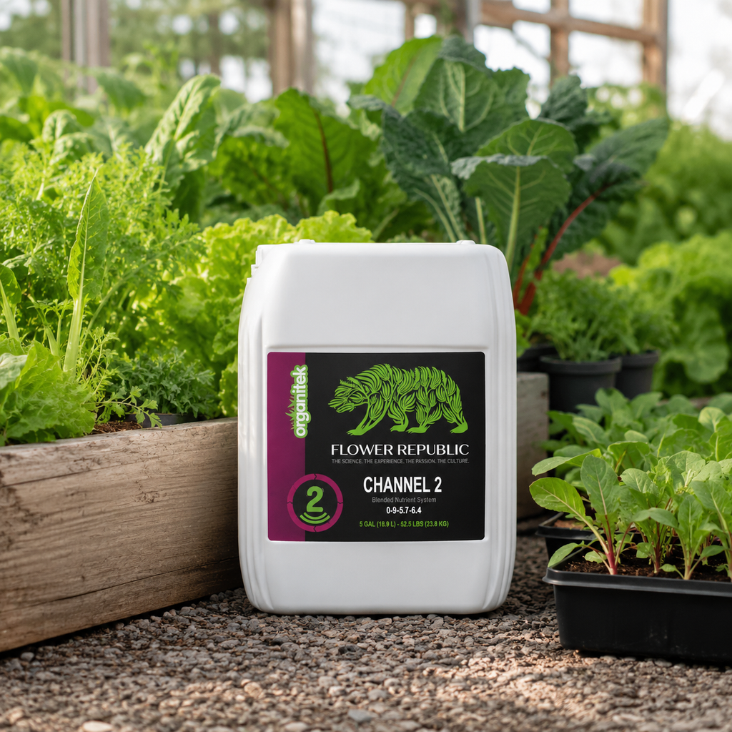 Organitek Flower Republic Channel 2 5 gallon in a garden