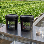 Two black buckets of Flower Republic hydroponic nutrient solution labeled Channel 1 and Channel 2, placed on a metal table in a greenhouse with rows of green plants in the background.
